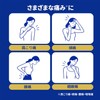 【指定第2類医薬品】イブA錠 90錠