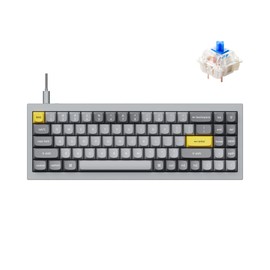 Keychron Q7 Wired Custom Mechanical Keyboard, 70% Layout QMK/VIA Programmable Macro with Hot-swappable Gateron G Pro Blue Switch Double Gasket Compatible with Mac Windows Linux (Grey)