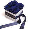 ROSEMARIE SCHULZ Heidelberg Individual Rose Box with Infinity Roses and