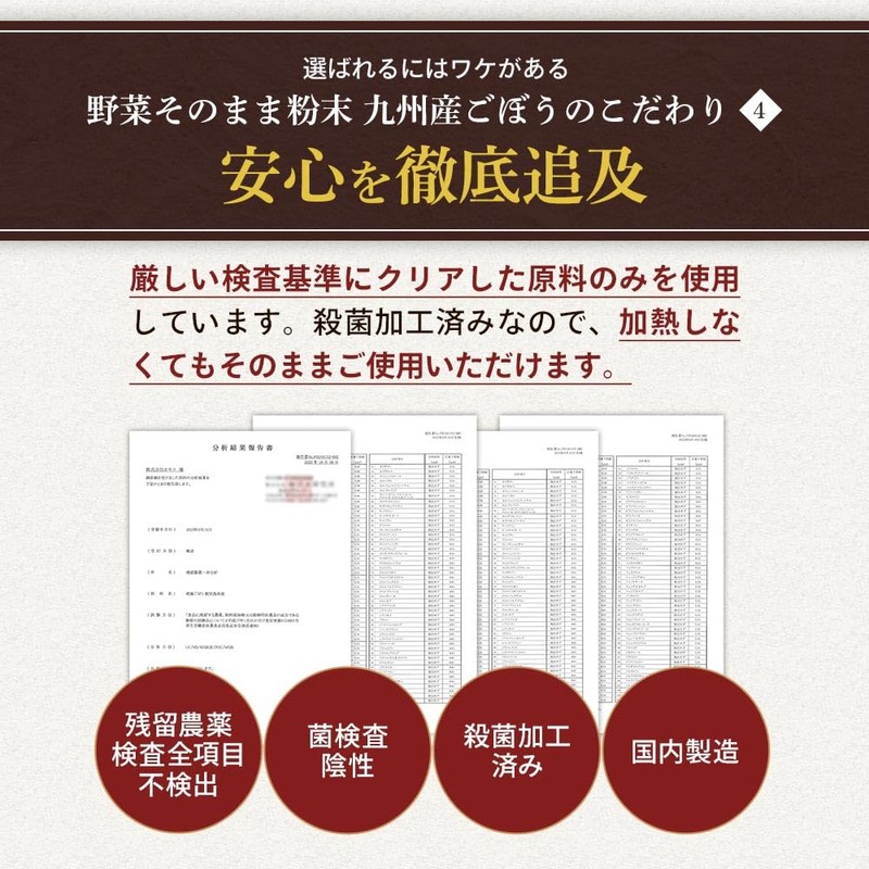 オーガランド ごぼう ごぼうパウダー ごぼう粉末 100g ゴボウ 国産 野菜パウダー 野菜 粉末
