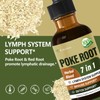 Eubrition Poke Root Drops for Lymph System Support, Lymphatic Drainage