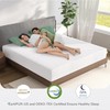 Novilla Queen Mattress, 6 Inch Queen Memory Foam Mattress for