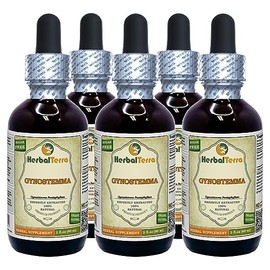Gynostemma (Gynostemma Pentaphyllum) Tincture, Organic Dried Leaves Liquid Extract (Brand Name: HerbalTerra, Proudly Made in USA) 5x2 fl.oz (5x60 ml)