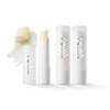 Lip treatment balm 4g colorless, 3 pcs / 립 트리트먼트