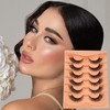 Cat Eye Lashes False Eyelashes Natural Look NINGLASH Wispy Lashes,