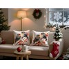 Doobicy Christmas Robin Bird Pillow Covers 18x18 Set of 2