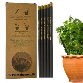 Greenica Dreams Eco Friendly Pencils Birthday Return Gift Recycled Paper Pencil Writing Black Plantable Seed Pencil (Black, 20, Count)