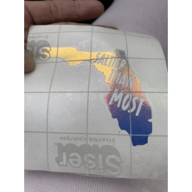 Saltier Than Most Florida Vinyl Sticker