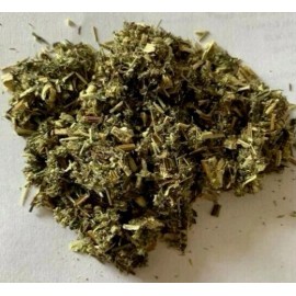 WMHerbs Mugwort Wild Crafted Dried Cut / 2oz to 1LB / Artemisia Vulgaris - 2 oz
