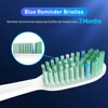 Toothbrush Replacement Whitening Heads Compatible with TAO Clean Sonic Electric