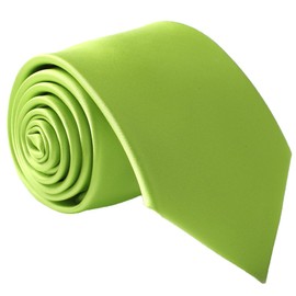 fortunatever Men's Solid Satin Necktie,Green Ties For Men With Gift Box