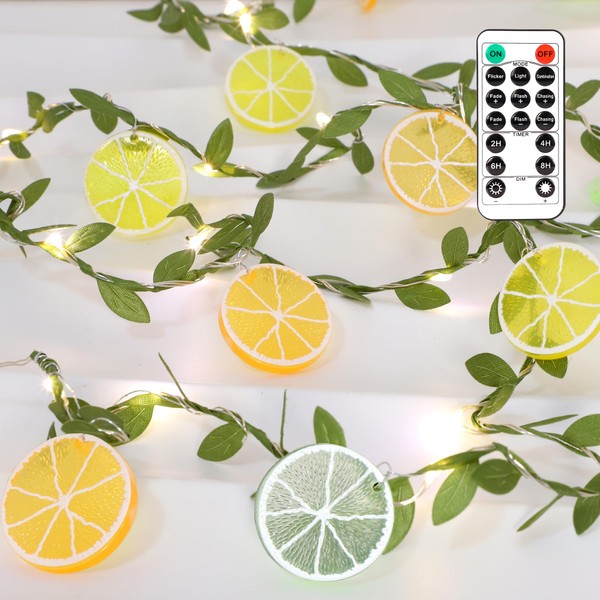Lemon LED String Lights USB/Battery Operated Light String with Remote