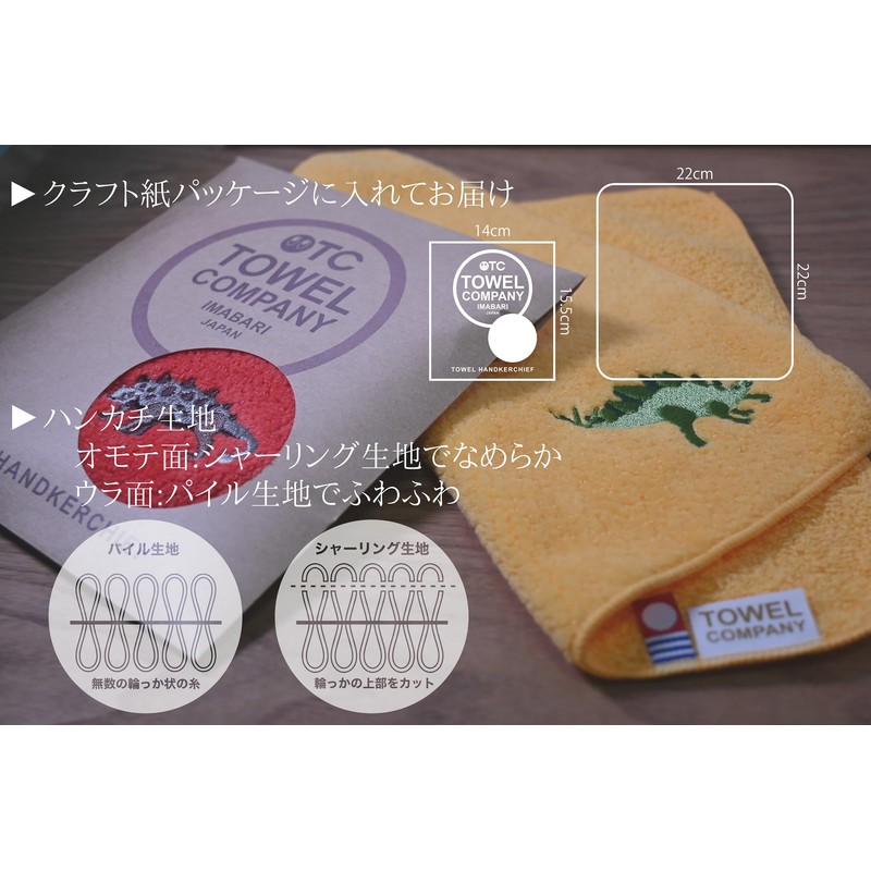 TOWEL COMPANY Imabari Towel, Handkerchief, 8.7 x 8.7 inches (22