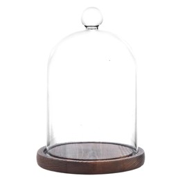 PCYMYN Glass Cloche Dome Bell Jar Display Case with Small Ball Top and Wooden Base for Plant,Collectibles (Small:3.5 * 4.3 inches)
