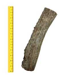 Good Trouble Pets All-Natural Shed Premium Antler Dog Chews - North American Sourced Deer Antlers for Dental Health & Anxiety Relief - Odor-Free & Non-Toxic Chew Toys for Dogs 1 Whole Antler, Large