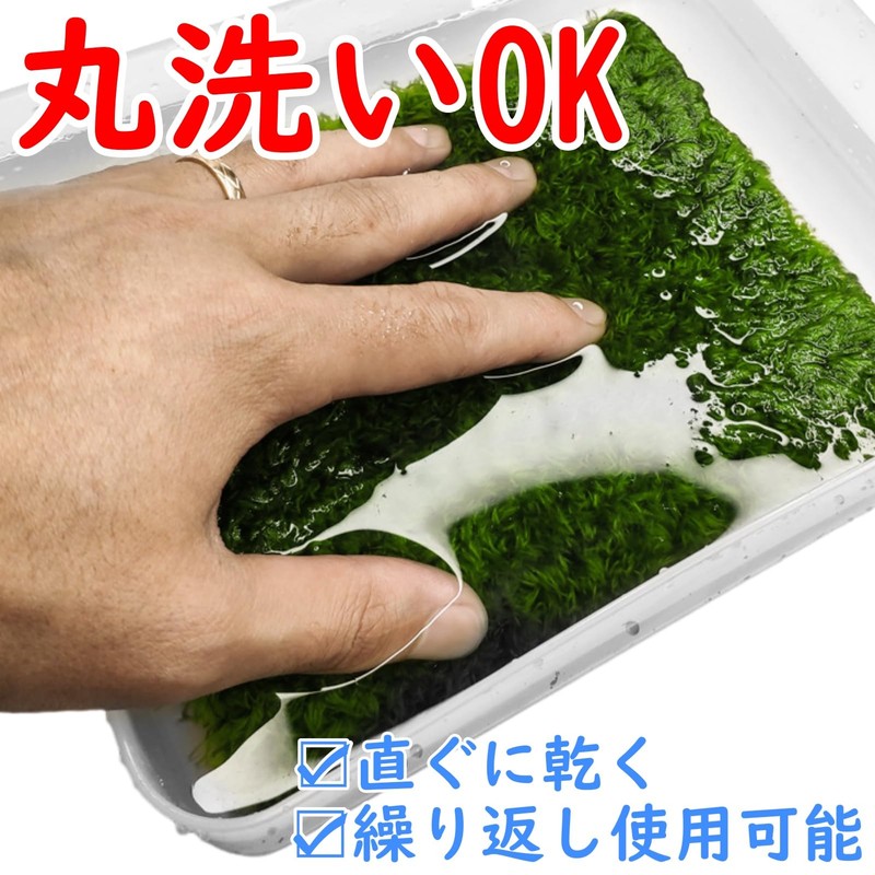Active Island Reptile Flooring Mat Thermal Moisturizing Sheet Breeding Green