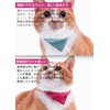 ぽぽねこ バンダナ付き猫首輪 MUJIコットンプレーン セイフティバックル・鈴付き・ハゲにくい (浅緑, L)