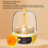 Fockety Egg Incubator, Small Egg Hatching Incubator with Automatic Temperature