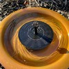 Wild Bird Lover's Wild Bird Lover’s Solar Powered Bird Bath