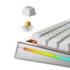 Glorious Gaming - Panda Switches (Lubed Tactile Switches) - 36x
