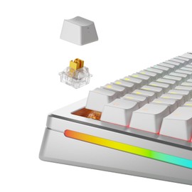 Glorious Gaming - Panda Switches (Lubed Tactile Switches) - 36x Switches for PC Gaming, Magnetic Switches for HE Hotswappable Mechanical Keyboards