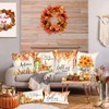 Ywlake Fall 18x18 Throw Pillow Covers Set of 4, Pumpkin