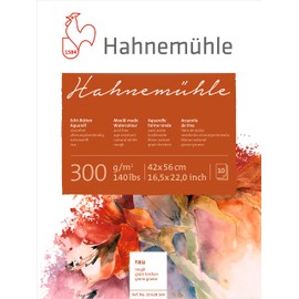 Hahnemühle Watercolour Pad Rough 300 g 42 x 56 cm 10 Sheets