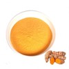 강황추출분말 100g 샘플 Turmeric Extract Powder 100g Sample
