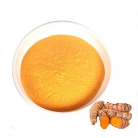 강황추출분말 100g 샘플 Turmeric Extract Powder 100g Sample