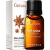 Gya Labs Star Anise Essential Oil (0.34 fl oz) -
