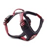 Wolters Active Pro Dog Harness Size 3 Chest Circumference 50-57.6