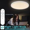 Glowall 24 Inch Large Flush Mount Ceiling Light Fixture, Ultra