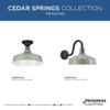 Progress Lighting Cedar Springs Collection 1-Light Farmhouse Outdoor Semi-Flush Mount