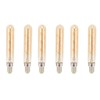 2 PCS E14 LED Light Bulb 3w Golden Tubular Bulb