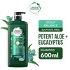 Herbal Essences Sulphate-Free Potent Aloe plus Eucalyptus Cleansing Shampoo 600ml