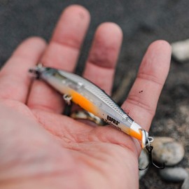 Ripstop 12 Yellow Perch