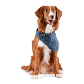 Reddy BFF Bandana for Dogs and Cats Navy Large/X-Large