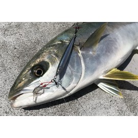 Metal Adict-05 60g #11 Poles KIBINAGO