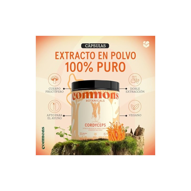 Hongo Cordyceps 120 Cápsulas - Máxima Pureza 100% Cuerpo Fructífero