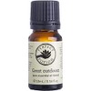 Perfect Potion Great Outdoors Pure Essential Oil Blend 10 ml