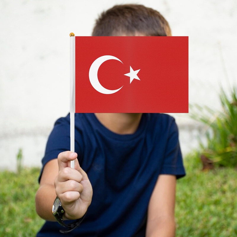 ASUNO 20 Pack Flags HandHeld Small Banners 14 × 21