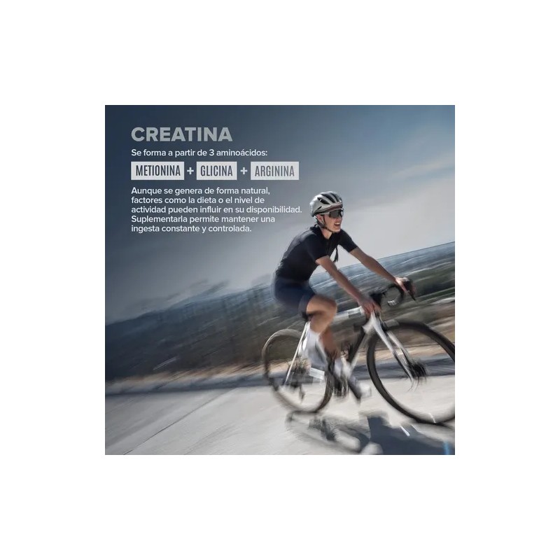Creatina Monohidratada Birdman en Cápsulas para Entreno y Recuperación