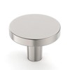 Amerdeco 10 Pack Brushed Satin Nickel Cabinet Knobs Single Hole