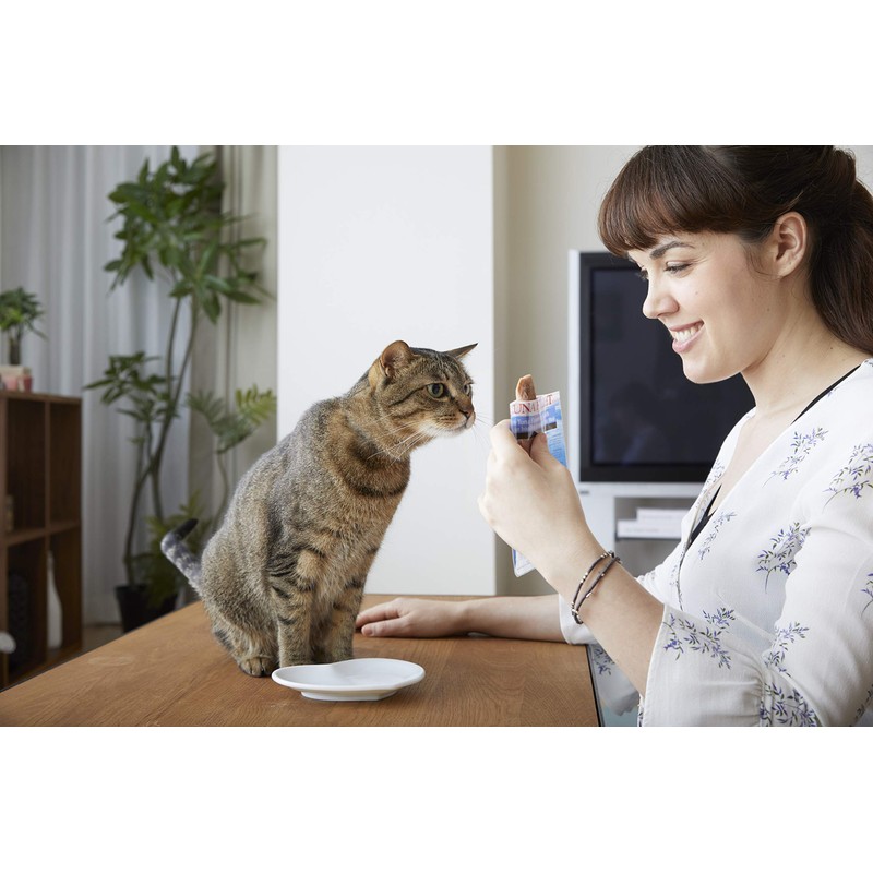 Inaba Usa504 Ciao Grilled Cat Treat With Added Vitamin E,