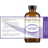 Lavender Essential Oil 4 oz (Bulgarian) 100% Pure Natural Undiluted