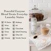 The Laundress Stain Solution, Laundry Stain Treatment, Stain Remover for