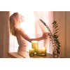 Chesapeake Bay Candle Scented Candle, Awaken + Invigorate (Lemongrass Eucalyptus),