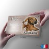 Warnschild Hund oder Warnzeichen Azawakh 20 cm