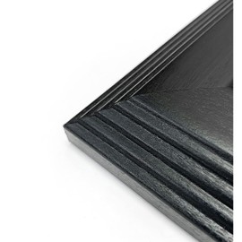 American Coin Treasures Horses on Stamps in Wall Frame