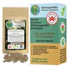 NEW Ashwagandha Extract Capsules 10% Withanolides – Ecogenya Organic 5:1